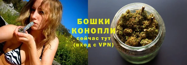 прущий лед Абаза