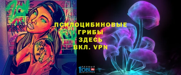 ПСИЛОЦИБИНОВЫЕ ГРИБЫ Абдулино
