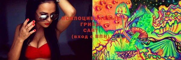 прущий лед Абаза