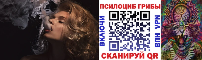 закладка Суздаль Галлюциногенные грибы мицелий